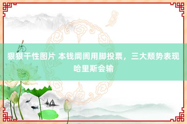 狠狠干性图片 本钱阛阓用脚投票，三大颓势表现哈里斯会输