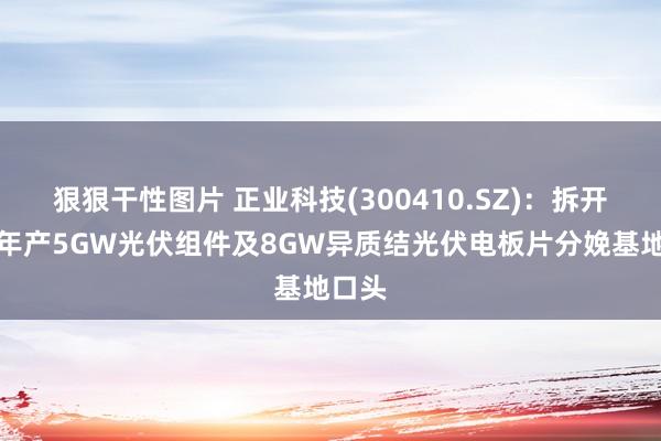 狠狠干性图片 正业科技(300410.SZ)：拆开投资年产5GW光伏组件及8GW异质结光伏电板片分娩基地口头