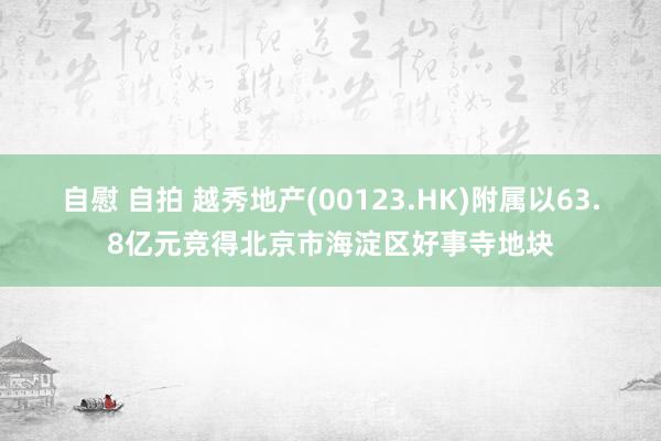 自慰 自拍 越秀地产(00123.HK)附属以63.8亿元竞得北京市海淀区好事寺地块