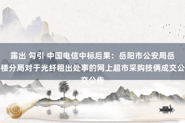 露出 勾引 中国电信中标后果：岳阳市公安局岳阳楼分局对于光纤租出处事的网上超市采购技俩成交公告