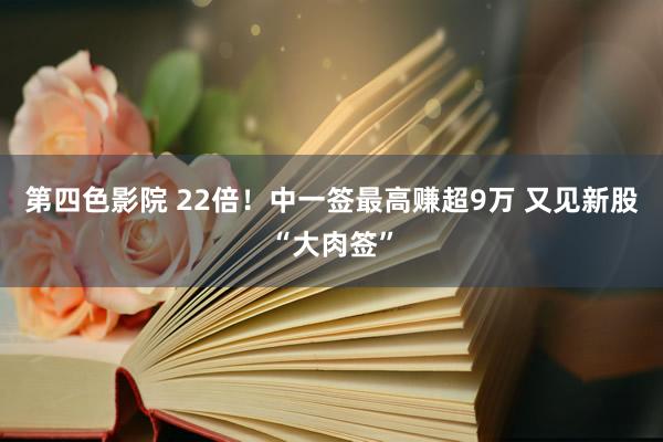 第四色影院 22倍！中一签最高赚超9万 又见新股“大肉签”