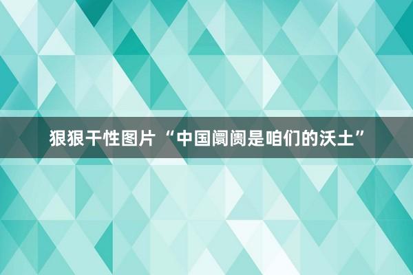 狠狠干性图片 “中国阛阓是咱们的沃土”