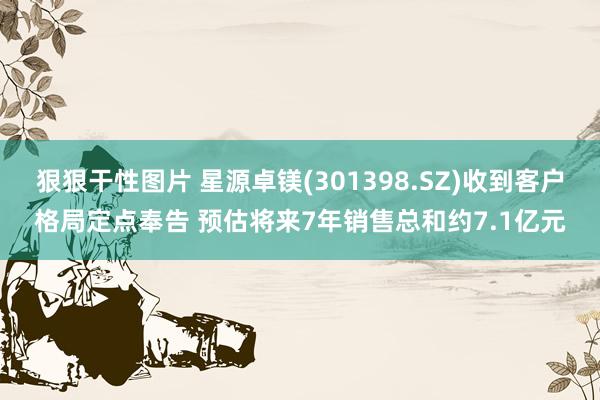 狠狠干性图片 星源卓镁(301398.SZ)收到客户格局定点奉告 预估将来7年销售总和约7.1亿元