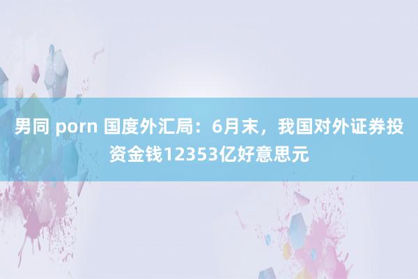 男同 porn 国度外汇局：6月末，我国对外证券投资金钱12353亿好意思元