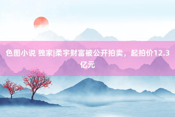 色图小说 独家|柔宇财富被公开拍卖，起拍价12.3亿元