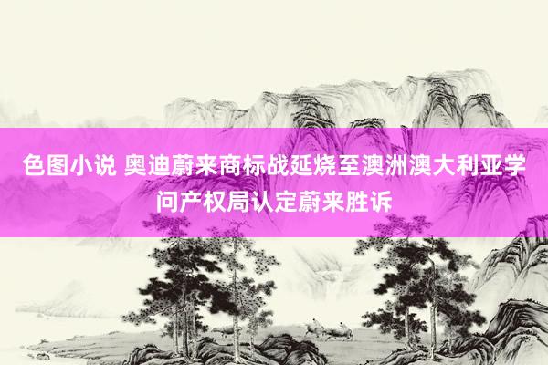 色图小说 奥迪蔚来商标战延烧至澳洲澳大利亚学问产权局认定蔚来胜诉