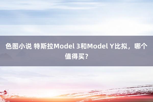 色图小说 特斯拉Model 3和Model Y比拟，哪个值得买？