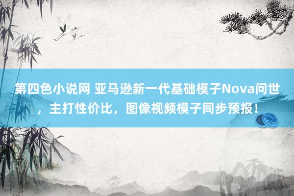 第四色小说网 亚马逊新一代基础模子Nova问世，主打性价比，图像视频模子同步预报！