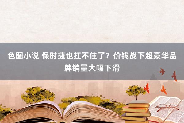 色图小说 保时捷也扛不住了？价钱战下超豪华品牌销量大幅下滑