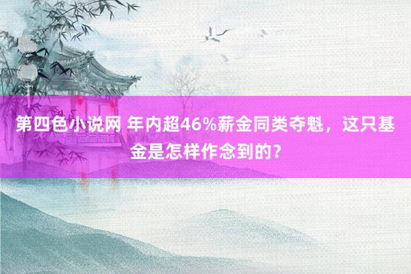 第四色小说网 年内超46%薪金同类夺魁，这只基金是怎样作念到的？