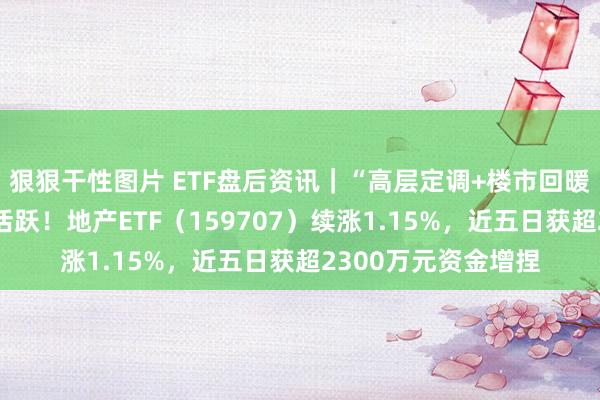 狠狠干性图片 ETF盘后资讯｜“高层定调+楼市回暖”，龙头地产联贯活跃！地产ETF（159707）续涨1.15%，近五日获超2300万元资金增捏