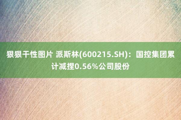 狠狠干性图片 派斯林(600215.SH)：国控集团累计减捏0.56%公司股份