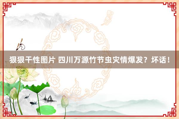 狠狠干性图片 四川万源竹节虫灾情爆发？坏话！