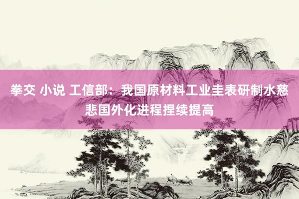 拳交 小说 工信部：我国原材料工业圭表研制水慈悲国外化进程捏续提高