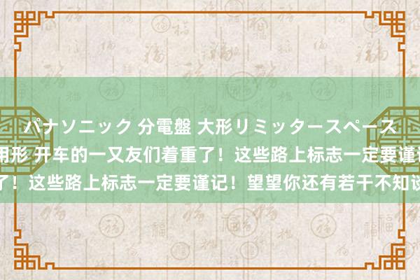 パナソニック 分電盤 大形リミッタースペースなし 露出・半埋込両用形 开车的一又友们着重了！这些路上标志一定要谨记！望望你还有若干不知谈