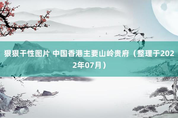 狠狠干性图片 中国香港主要山岭贵府（整理于2022年07月）