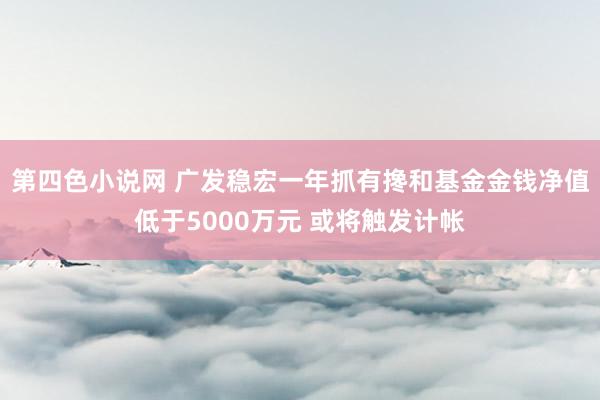 第四色小说网 广发稳宏一年抓有搀和基金金钱净值低于5000万元 或将触发计帐