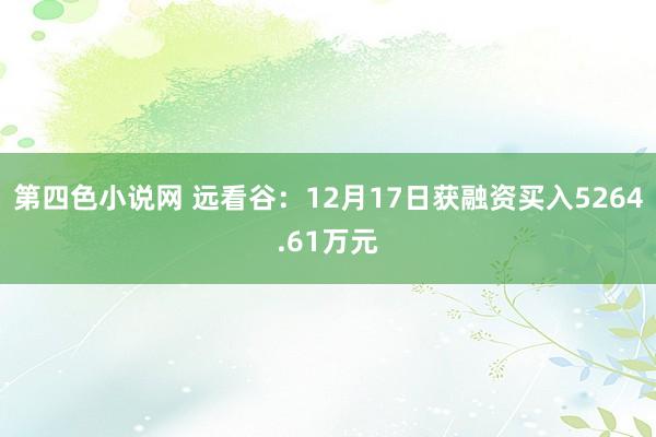 第四色小说网 远看谷：12月17日获融资买入5264.61万元