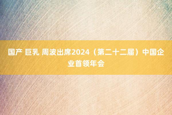 国产 巨乳 周波出席2024（第二十二届）中国企业首领年会