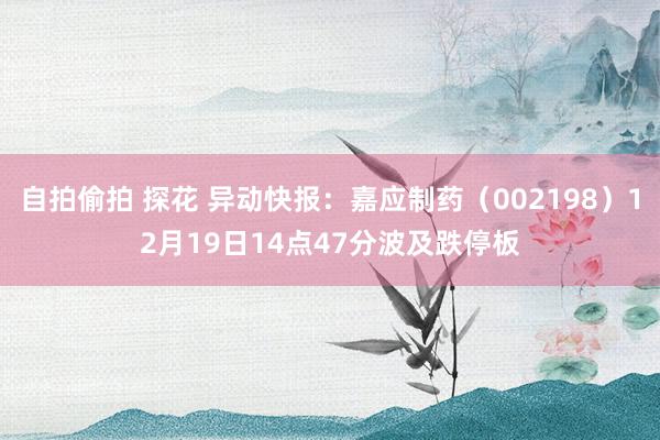 自拍偷拍 探花 异动快报：嘉应制药（002198）12月19日14点47分波及跌停板