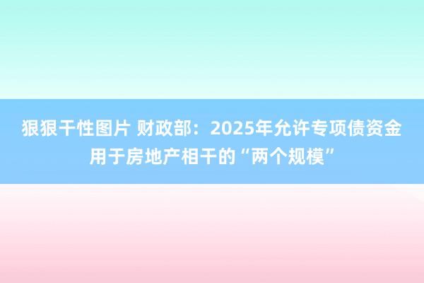 狠狠干性图片 财政部：2025年允许专项债资金用于房地产相干的“两个规模”