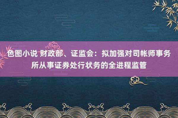 色图小说 财政部、证监会：拟加强对司帐师事务所从事证券处行状务的全进程监管