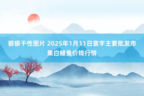 狠狠干性图片 2025年1月11日寰宇主要批发市集白鳝鱼价钱行情