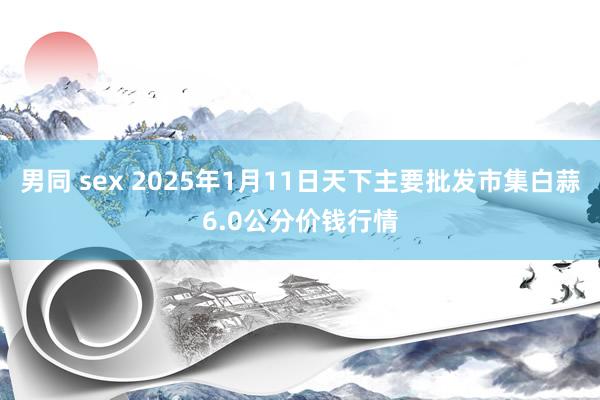 男同 sex 2025年1月11日天下主要批发市集白蒜6.0公分价钱行情