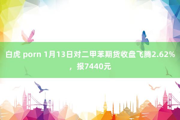 白虎 porn 1月13日对二甲苯期货收盘飞腾2.62%，报7440元