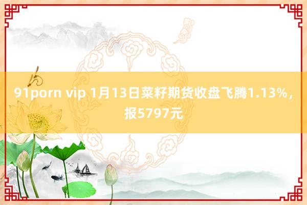 91porn vip 1月13日菜籽期货收盘飞腾1.13%，报5797元