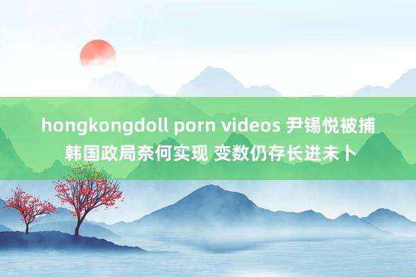 hongkongdoll porn videos 尹锡悦被捕 韩国政局奈何实现 变数仍存长进未卜